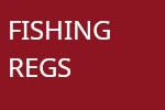 REGS